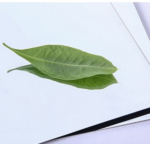 不銹鋼厚板拉絲拋光及鏡面加工注意事項